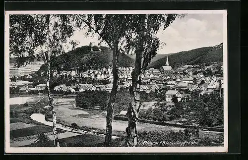 AK Biedenkopf /Lahn, Ortsansicht mit Bergen