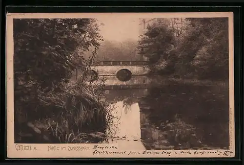 AK Cöthen-A., Partie im Schlosspark