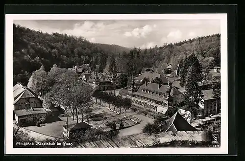 AK Alexisbad im Harz, Ortspartie