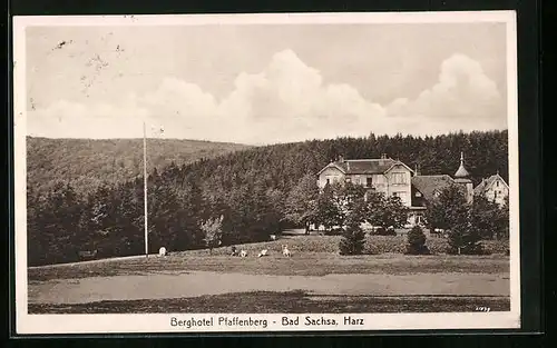 AK Bad Sachsa /Harz, Berghotel Pfaffenberg