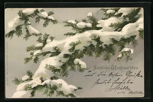 Präge-Künstler-AK Alfred Mailick: verschneiter Tannenzweig