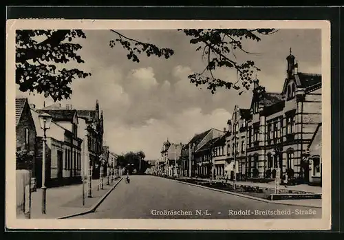 AK Grossräschen /N.-L., Rudolf-Breitscheid-Strasse mit Bäumen