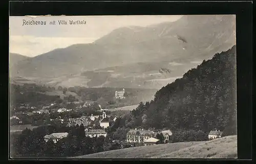 AK Reichenau, Ortsansicht mit Villa Wartholz