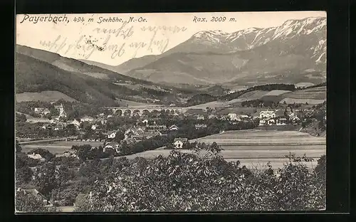 AK Payerbach, Ortsansicht mit Brücke und Rax