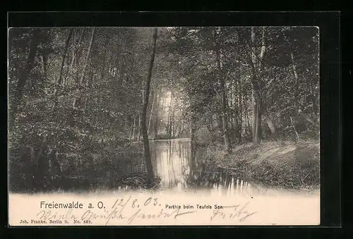 AK Freienwalde a. O., Partie beim Teufels See