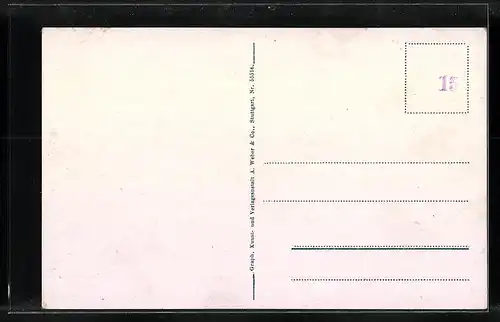 AK Singen (Hohentwiel), Ortsansicht und Festungsruine Hohentwiel