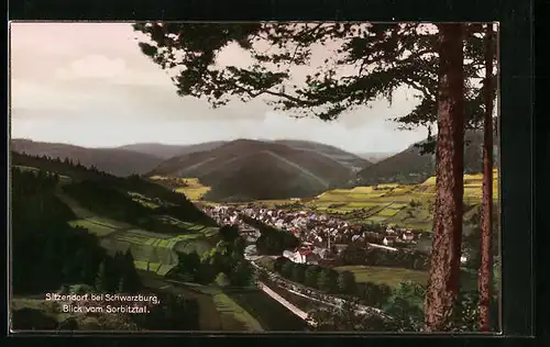 AK Sitzendorf, Blick vom Sorbitztal