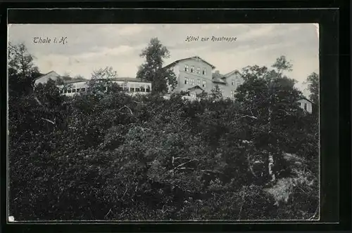 AK Thale i. H., Hotel zur Rosstrappe