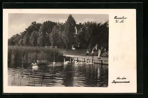AK Prenzlau, An der Seepromenade