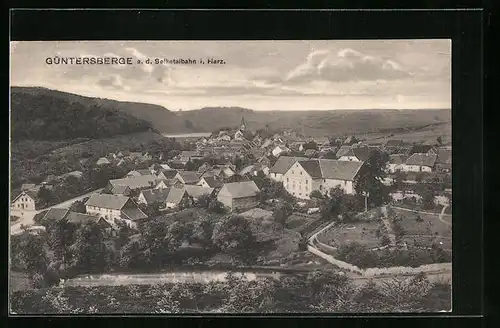 AK Güntersberge / Harz, Gesamtansicht