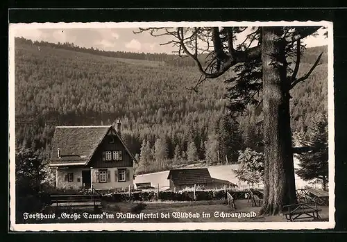 AK Wildbad im Schwarzwald, Forsthaus Grosse Tanne im Rollwassertal
