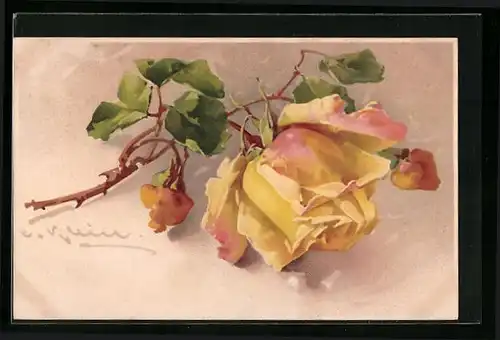 Künstler-AK Catharina Klein: Gelbe Rose mit Knospen