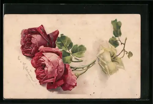 Künstler-AK Catharina Klein: Zwei rote und eine weisse Rose