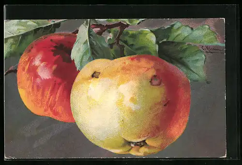 Künstler-AK Catharina Klein: Zwei Äpfel am Baum