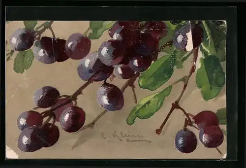 Künstler-AK Catharina Klein: Weintrauben mit Blättern