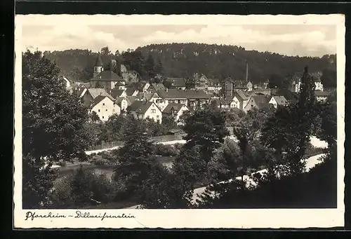 AK Pforzheim /Schwarzwald, Dillweissenstein