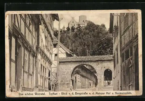 AK Treffurt /Werratal, Blick von der Bergstrasse n. d. Mainzer Hof und Normannstein