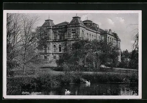 AK Gotha, Museum mit Schwänen