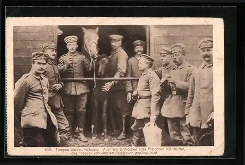 AK Soldaten versorgen ein Pferd mit Fohlen, Soldatenliebe