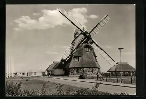 AK Gross Stieten, VEG Tierzucht, Gaststätte Mecklenburger Mühle