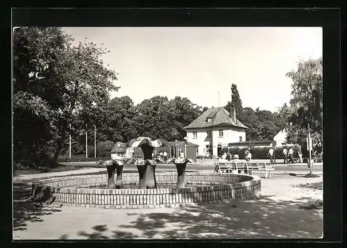 AK Boltenhagen, Wasserspiele