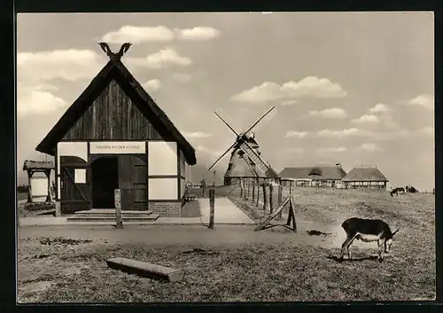 AK Gross Stieten, VEG Tierzucht, Gaststätte Mecklenburger Mühle, Galerie an der Mühle