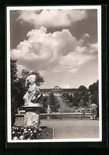 AK Potsdam, Schloss Sanssouci, Terrassenanlagen, Fotografie Hans Hartz