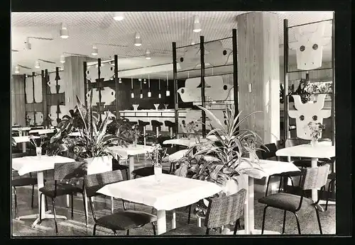 AK Klink / Müritz, FDGB-Ferienobjekt Erholungsheim Herbert Warnke, Milchbar