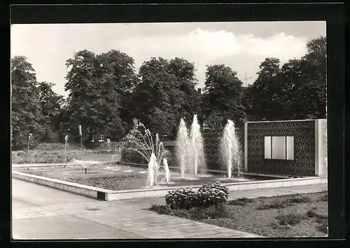 AK Bitterfeld, Springbrunnen am Stadtpark