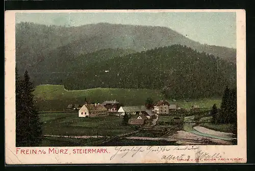 AK Flein a. d. Mürz, Blick auf die Siedlung am Bach