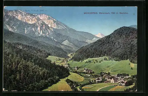 AK Mürzsteg, Talblick mit der Ortschaft