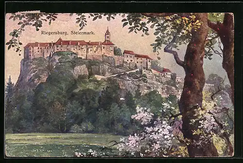AK Riegersburg, Blick von den Wiesen hinauf zum Schloss