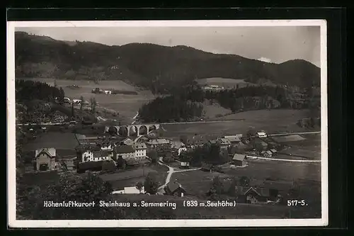 AK Steinhaus am Semmering, Ortstotale mit der Brücke im Hintergrund