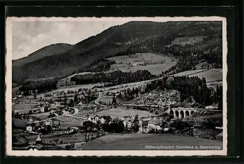AK Steinhaus am Semmering, Ortstotale mit der Eisenbahnbrücke