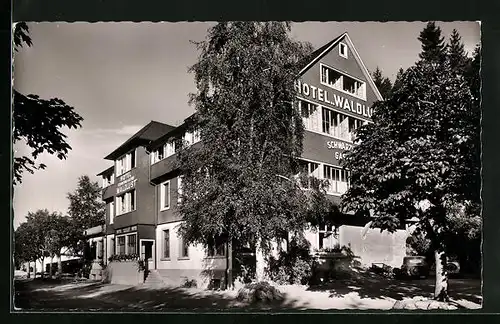 AK Titisee im Schwarzwald, am Hotel Waldlust