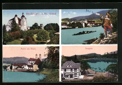 AK Säckingen am Rhein, am Schloss, Bergsee, am Rheinufer, Ortspanorama