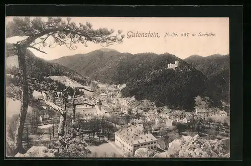 AK Gutenstein, Blick über die Dächer der Ortschaft