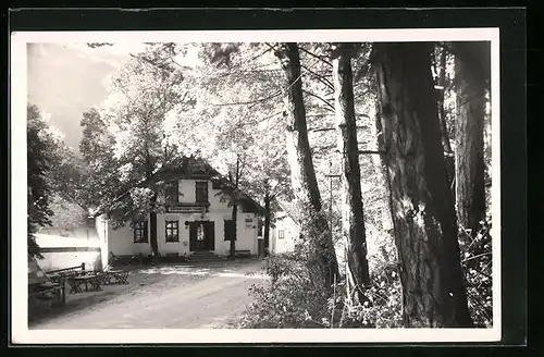 AK Puchberg am Schneeberg, am Edenhof, an der Siering, Gasthof J. Schramböck