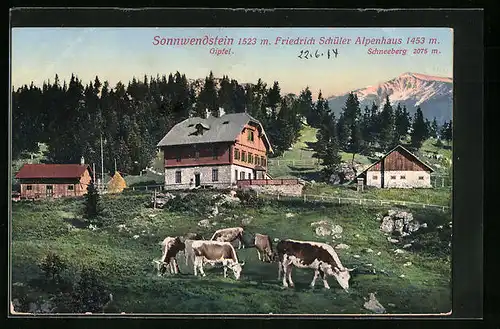 AK Semmering, das Friedrich Schüler Alpenhaus am Sonnwendstein