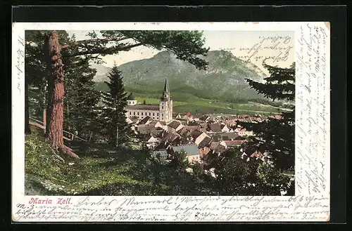 AK Mariazell i. Steiermark, Totalansicht mit der Basilika