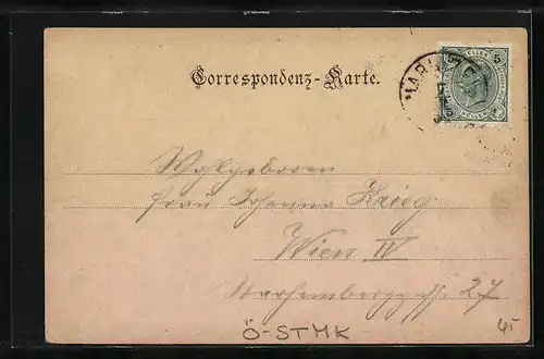 AK Mariazell i. Steiermark, Totalansicht der Stadt, Blick auf die Basilika