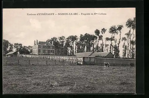 AK Nojeon-le-Sec, Propriété de Mme Catheux