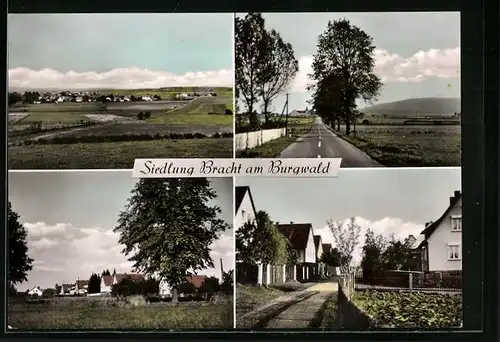 AK Rauschenberg, Siedlung Bracht am Burgwald, Blick zum Hotel Schöne Aussicht