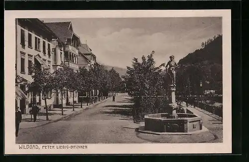 AK Wildbad, Peter Liebig-Brunnen