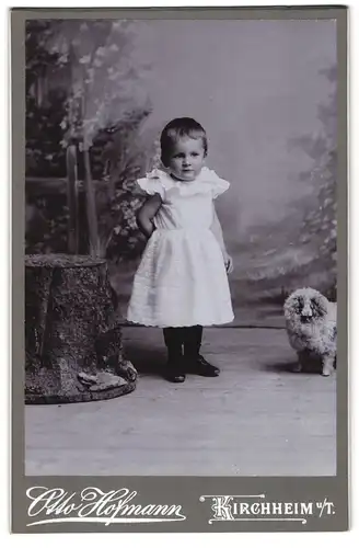 Fotografie Otto Hofmann, Kirchheim u /T., Kleines Kind im weissen Kleid mit Plüschtier