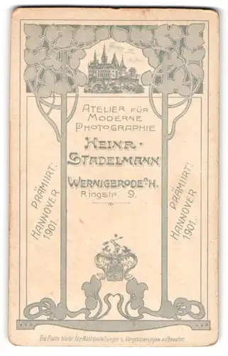 Fotografie Heinr. Stadelmann, Wernigerode a. H., Ringstr. 9, Blick auf das Schloss mit floraler Umrandung