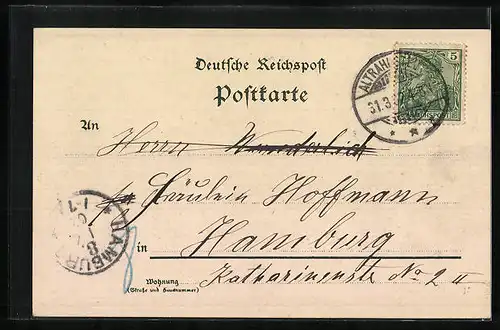 Lithographie Hamburg-Oldenfelde, W. Eggers Gasthof, Totalansicht, Steingrotte, Garten
