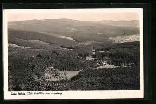 AK Zella-Mehlis, Waldblick vom Ruppberg