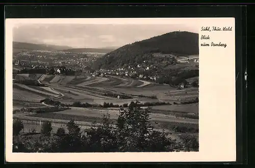 AK Suhl i. Thür. Wald, Blick zum Domberg