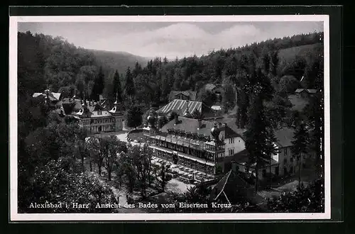 AK Alexisbad /Harz, Totalansicht vom Eisernen Kreuz